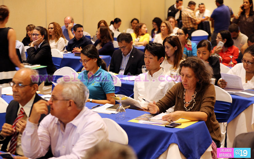 plan_educacion